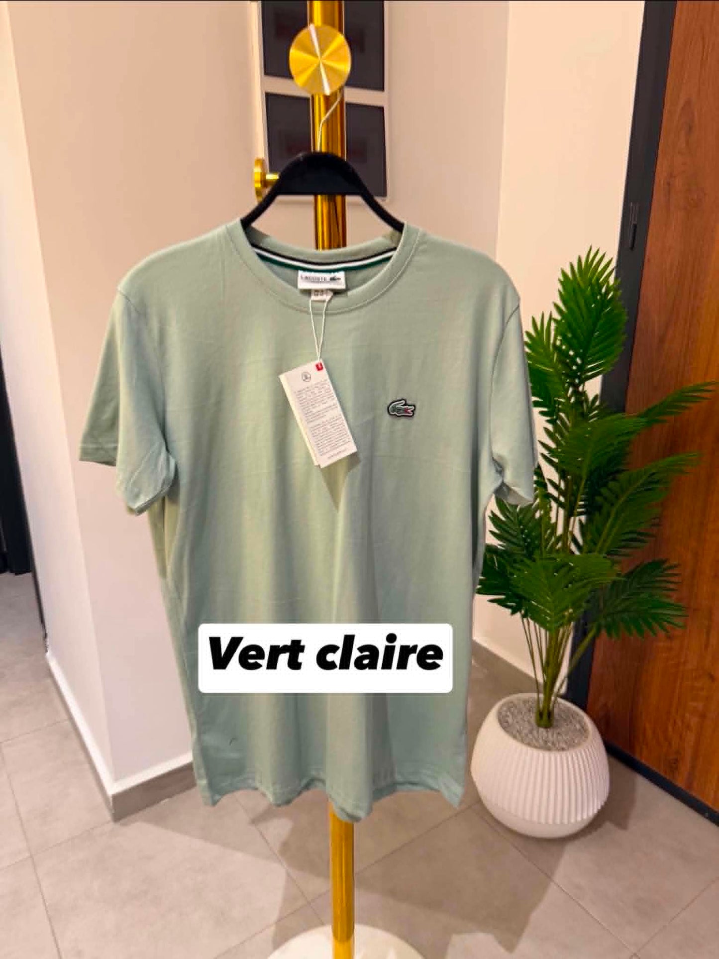 🐊 T-SHIRT LACOSTE – COLLECTION 2026 🐊