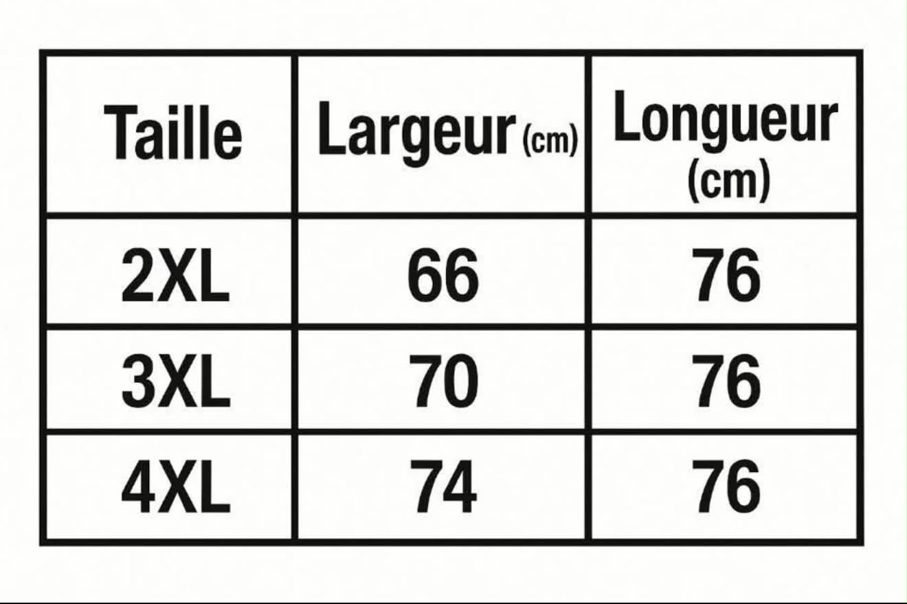T-SHIRT GRANDE TAILLE