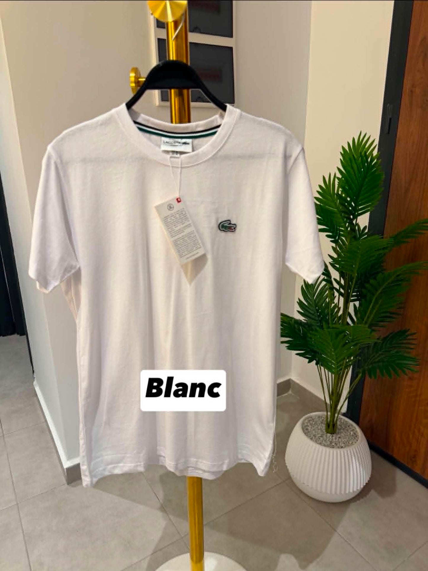 🐊 T-SHIRT LACOSTE – COLLECTION 2026 🐊